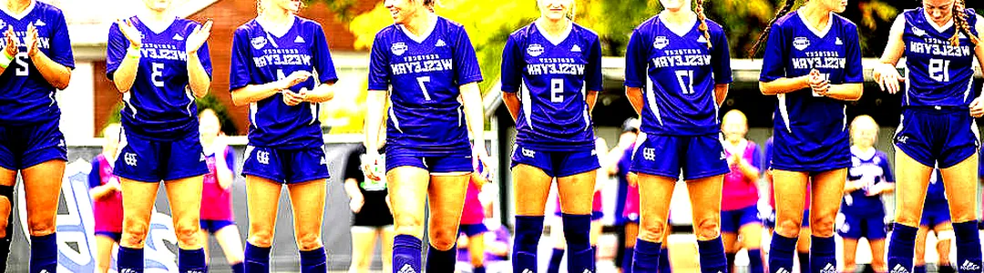 Kentucky Wesleyan Panthers