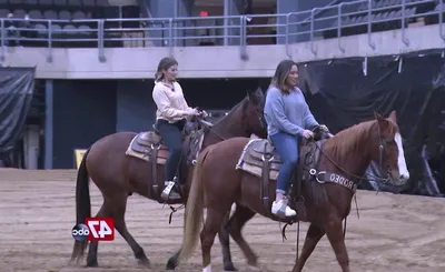 Lone Star Rodeo