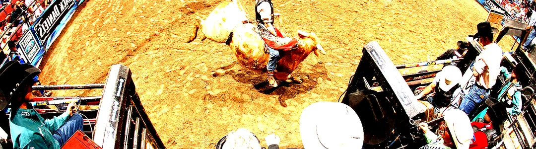 PBR Challenger Series