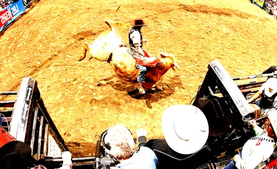 PBR Challenger Series