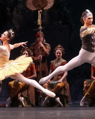 Owensboro Dance Theatre: The German American Bank Nutcracker theatre performance